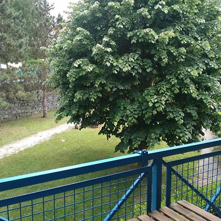 Duplex Lumineux - 40M2 - 2 Chambres - Balcon Terrasse - Parking - Entierement Renove En Mai 2024 Cauterets Exterior photo